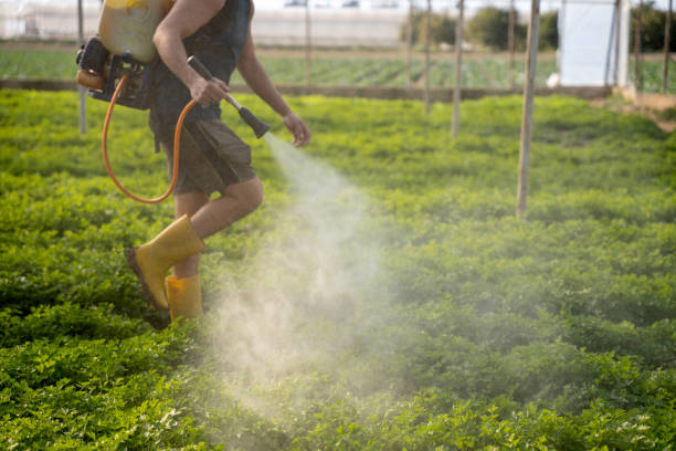 Best Best Pest Control Companies  in Colfax, IA