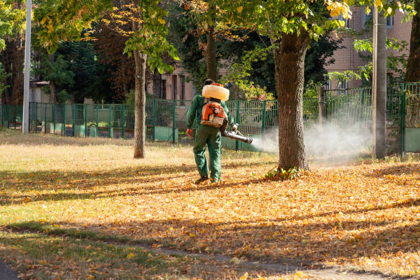 Best Local Pest Control Services  in Colfax, IA