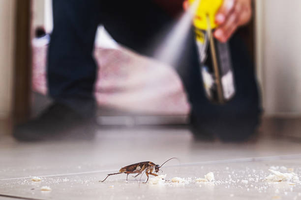 Best Commercial Pest Control Services  in Colfax, IA