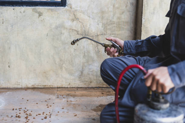 Best Affordable Exterminators  in Colfax, IA