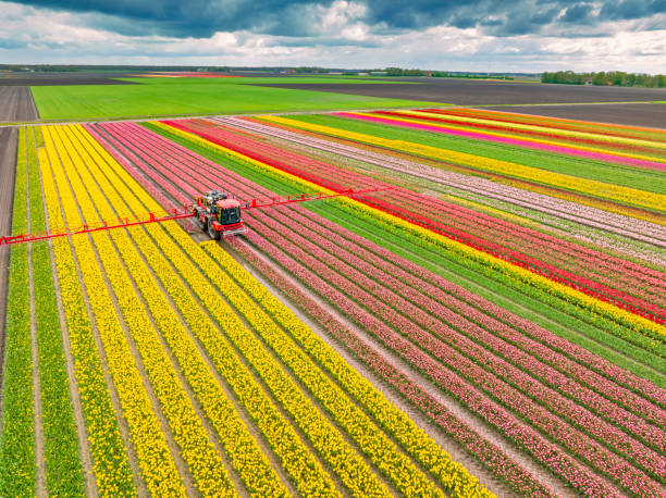 Pest Control Cost in Colfax, IA