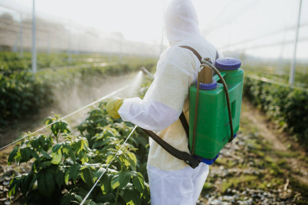 Best Wildlife Control Services  in Colfax, IA